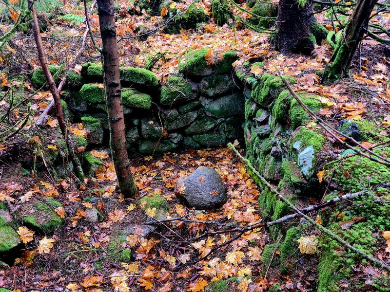 Fil:Dalsland-Mo-Fyrrud grund.jpg