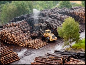 Dalsland Ånimskog Timmerplan 2008.jpg