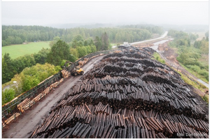 Dalsland Ånimskog Timmerplan norrut 2008.png