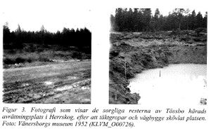 Dalsland Tösse avrättningsplatsen.jpg