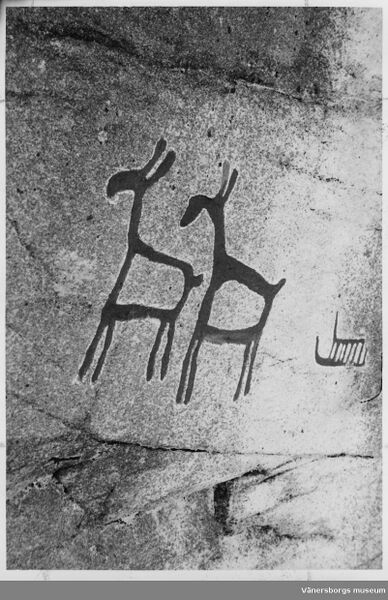 Fil:Hällristning, Dalbergså, Bolstad.jpg