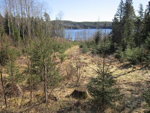 Små åkertegar.jpeg