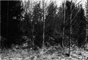 Västergötland-Väne-Åsaka-ÅBHF 02 021 02.jpg