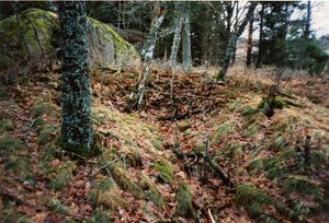 Västergötland-Väne-Åsaka-ÅBHF 02 036 01.jpg