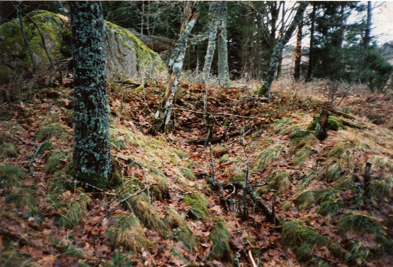 Fil:Västergötland-Väne-Åsaka-ÅBHF 02 036 01.jpg