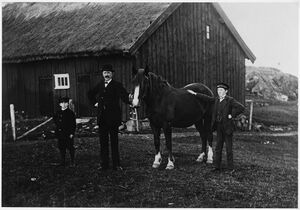 Västergötland-Väne-Åsaka-ÅBHF 06 049 01.jpg