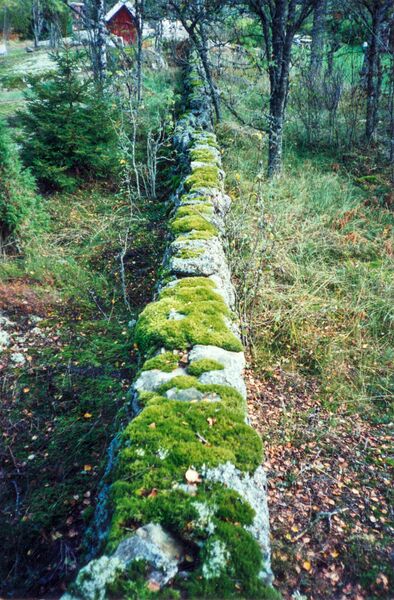 Fil:Västergötland-Väne-Åsaka-Skulegården Bild-2.jpg