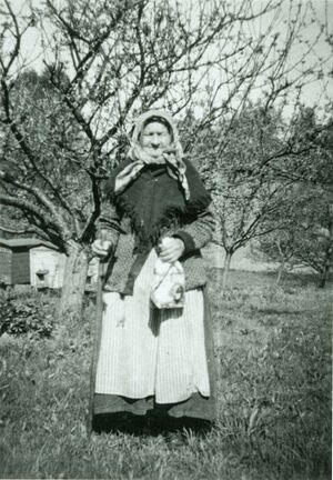 Västergötland-Väne-Åsaka-Torpinvent Bild-13.jpg